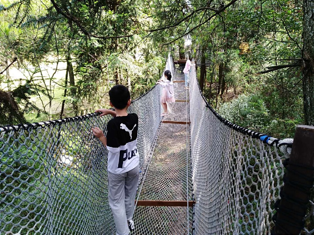 1751098989569482.jpg 1751098989569482.jpg